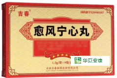 愈风宁心丸